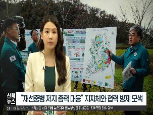 [11월 산림뉴스] 소나무재선충병 극심지역 방제 총력