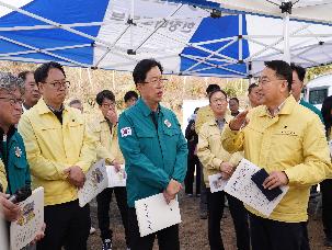 소나무재선충병 방제사업장 현장 점검