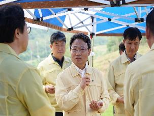 소나무재선충병 수종전환 방제 사업 현장 점검