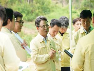 박은식 산림청장, 소나무재선충병 방제사업지 현장 점검