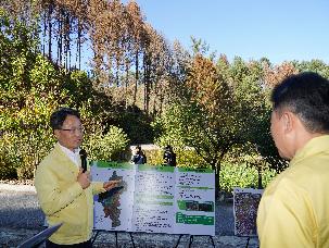 박은식 산림청장, 가평군 소나무재선충병 방제 사업 현장 점검